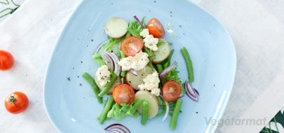 Lun potetsalat – vegetaroppskrift